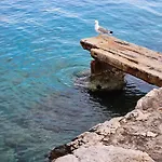 Zorka Appartamento