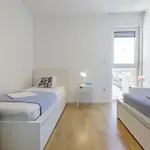 Zorka 公寓 *