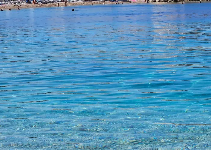 Zorka 프리모스턴